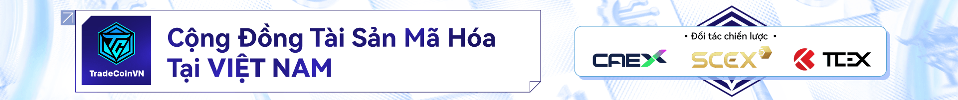 /adsense/homeHeader?url=https://go.tradecoinvn.net/