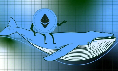 Cá voi Ethereum ráo riết gom hàng từ những traders nghi ngờ