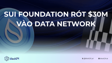 Sui Foundation rót 30 triệu USD vào DATA Network 