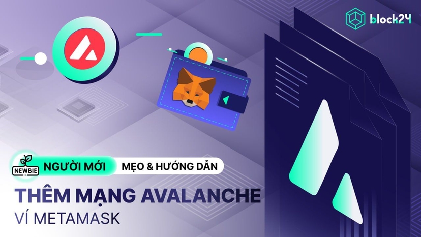 Hướng dẫn MetaMask: Add mạng Avalanche & cách tương tác hệ sinh thái