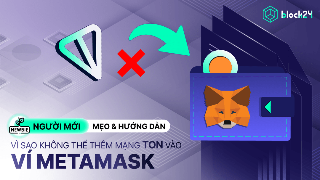 Lý do không thể thêm mạng TON vào ví MetaMask và cách giải quyết