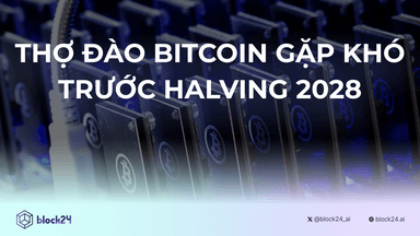 Thợ đào Bitcoin gặp khó khăn trên đường tới Halving 2028